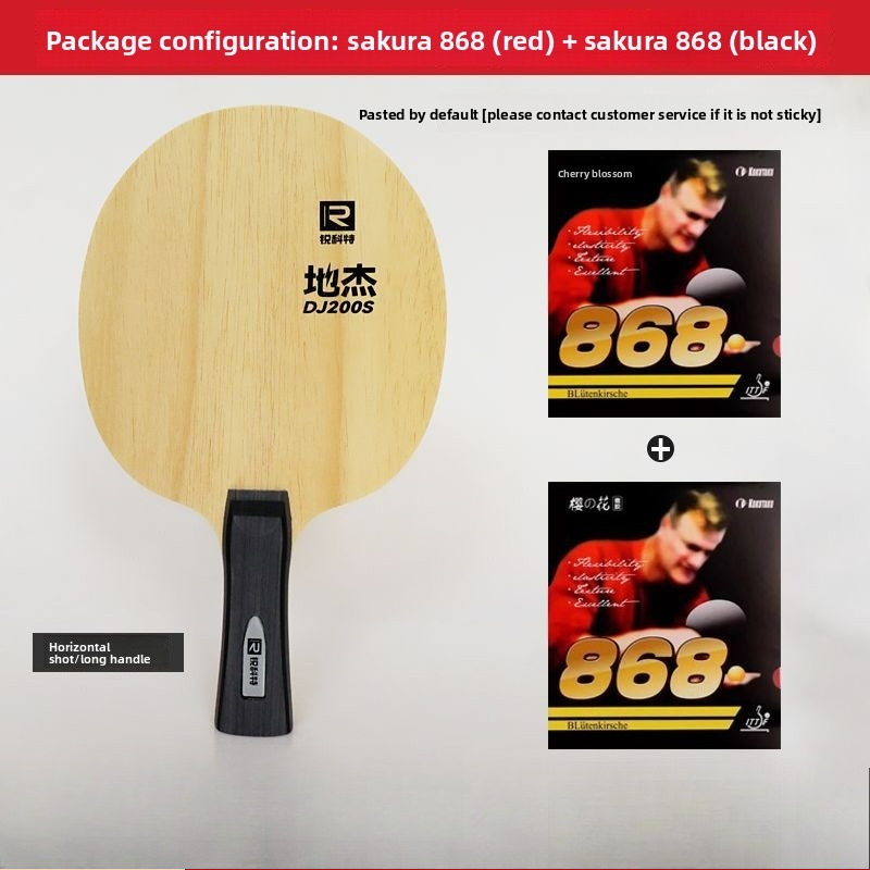 Table Tennis Match - Ruikete DJ200A S table tennis floor