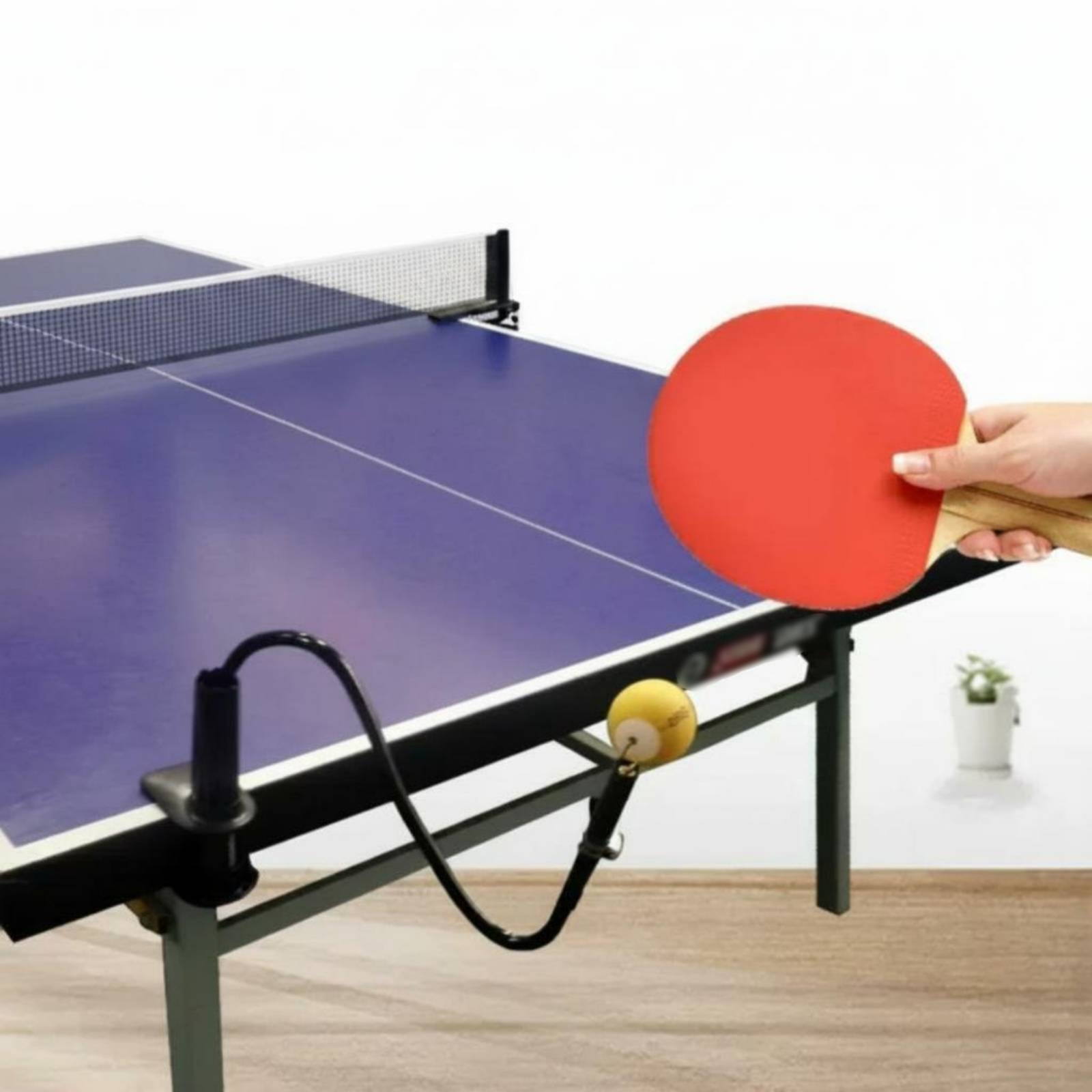 Table Tennis Solo Practice Aid – обзор и цена Table Tennis Practice