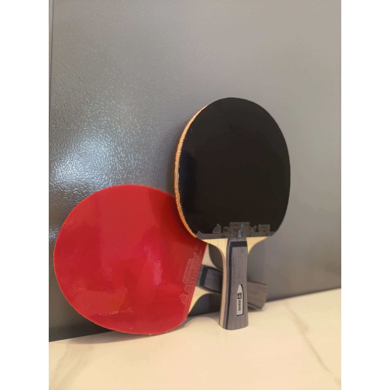 Ruikete DJ200A S table tennis  – обзор и цена Table Tennis Match