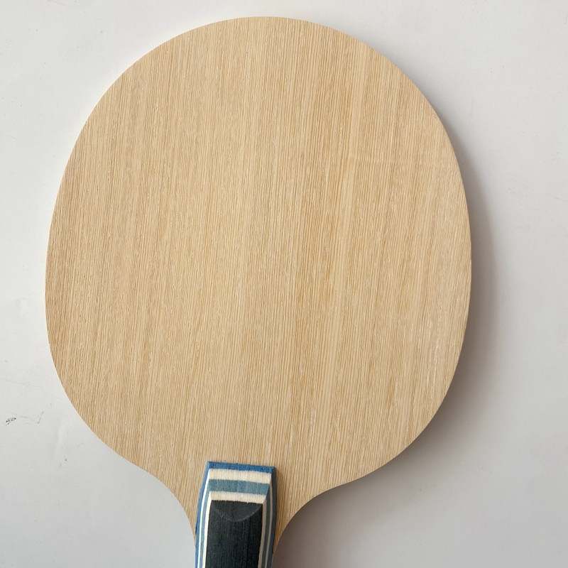 Lemuria VIS Carbon Fiber Table – обзор и цена Table Tennis Defense