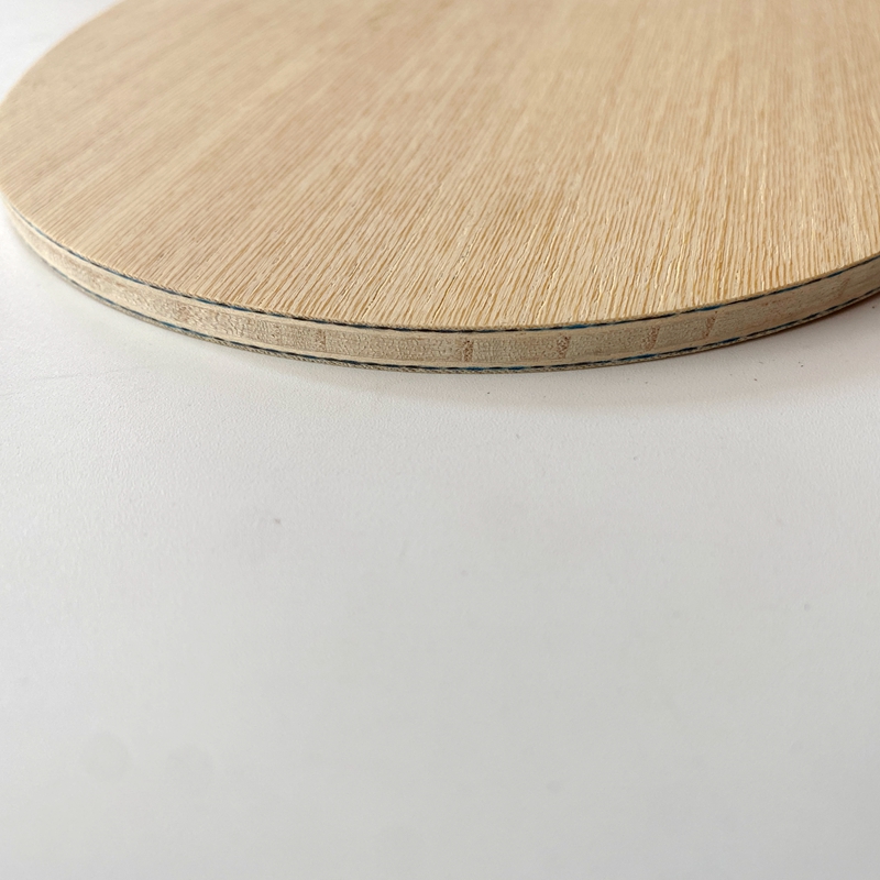 Lemuria VIS Carbon Fiber Table – обзор и цена Table Tennis Defense