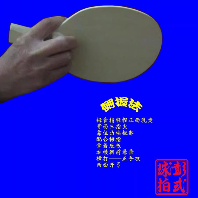 Chinese/Japanese Style Table T – обзор и цена Table Tennis Xiom