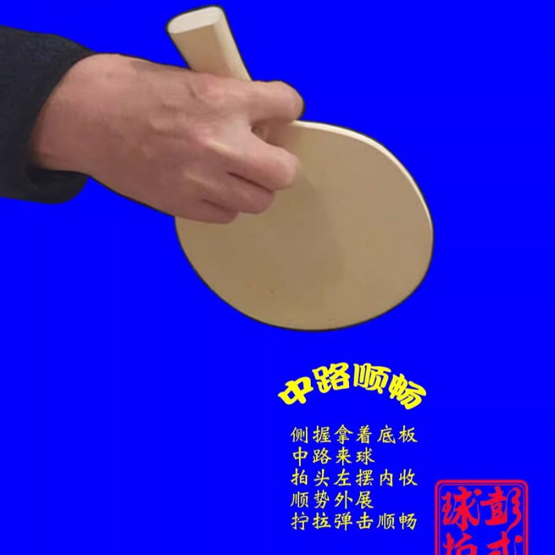 Chinese/Japanese Style Table T – обзор и цена Table Tennis Xiom