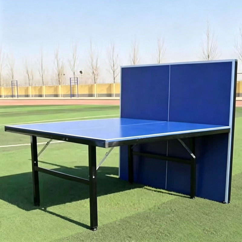 High Quality International Sta – обзор и цена Table Tennis Training